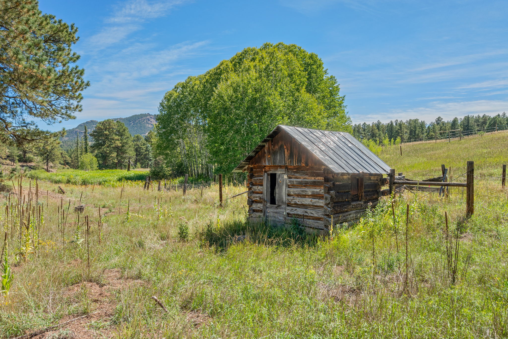 The old milk house