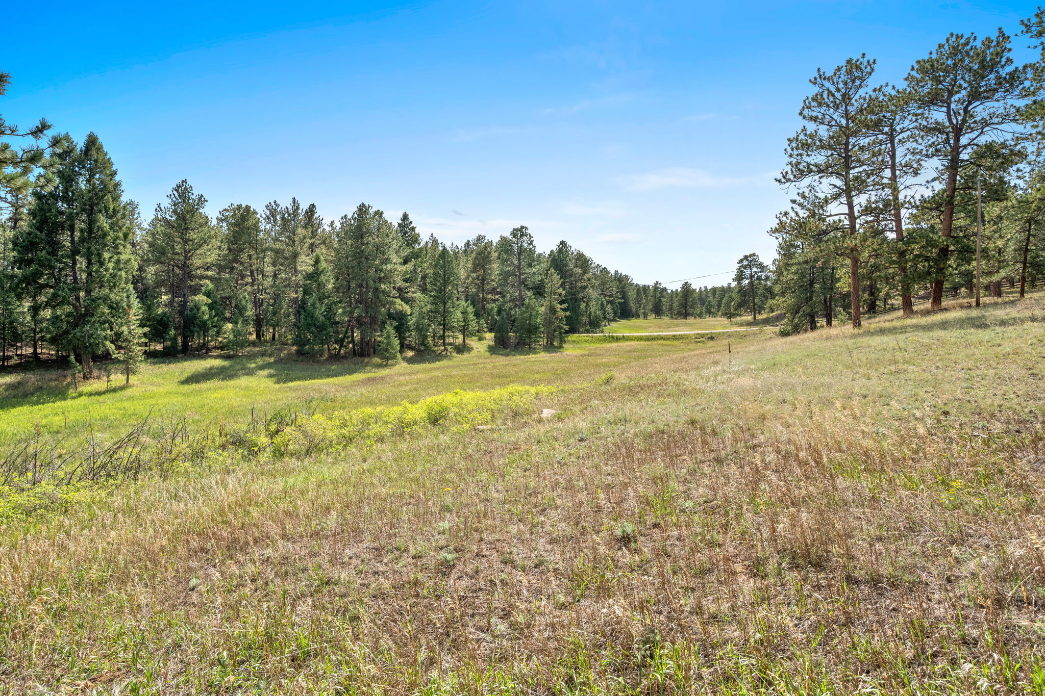 Gentle swale along the south side of the property; survey stakes are visable