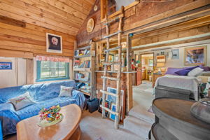 A great view of the cabin's overall layout, with living and sleeping areas plus loft access
