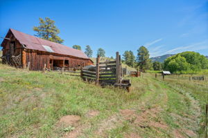 Barn and cattle chute