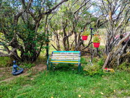  Photo 39