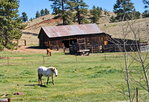 Sellers had horses for many decades