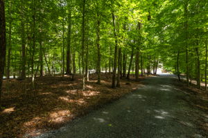 2156 wedgewood Dr-5
