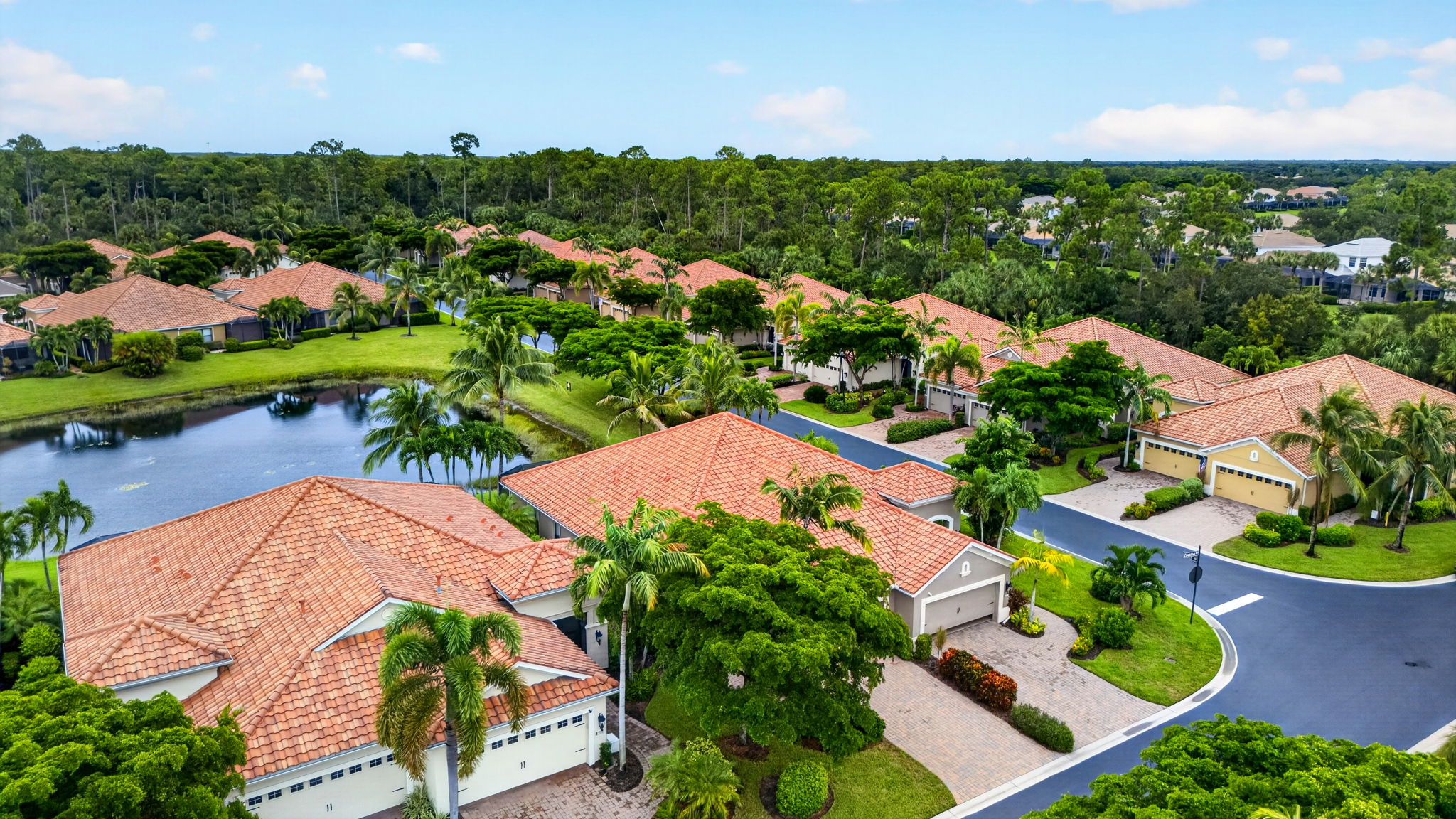 Aerial Front Exterior 3