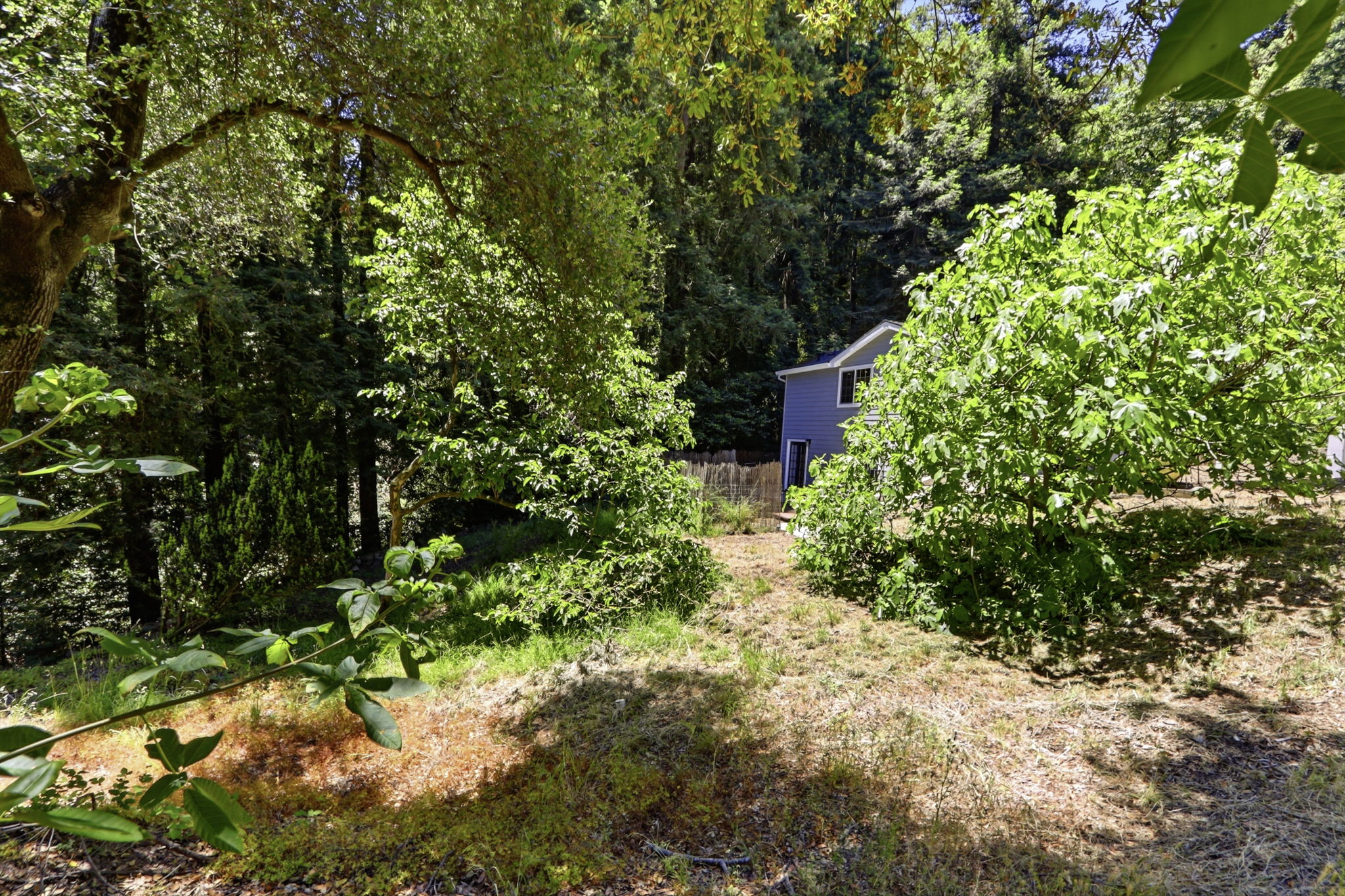  Photo 49