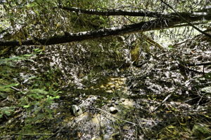  Photo 51