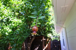  Photo 36