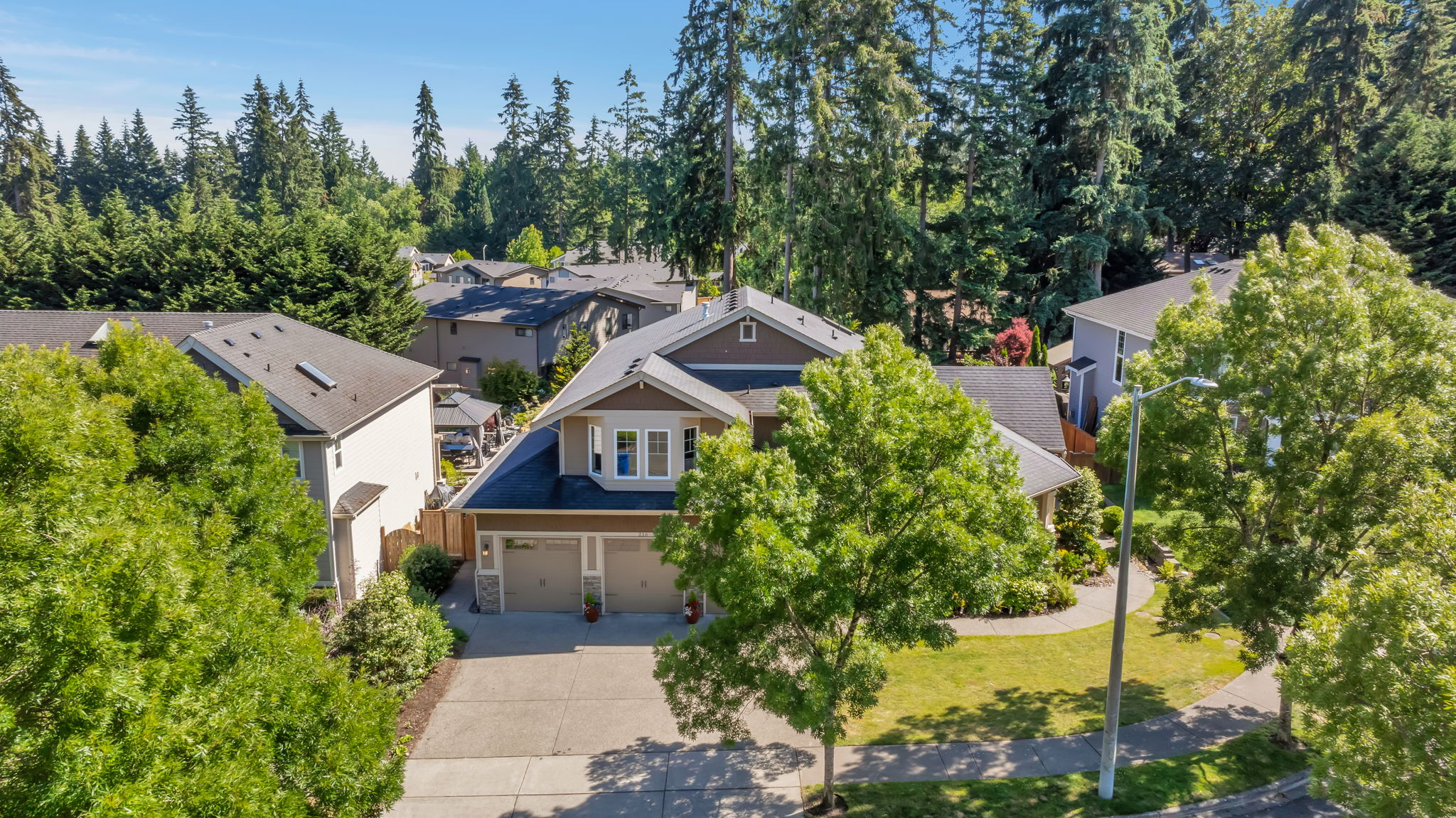  Photo 81