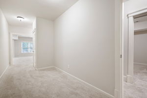  Photo 51