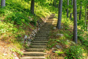  Photo 47