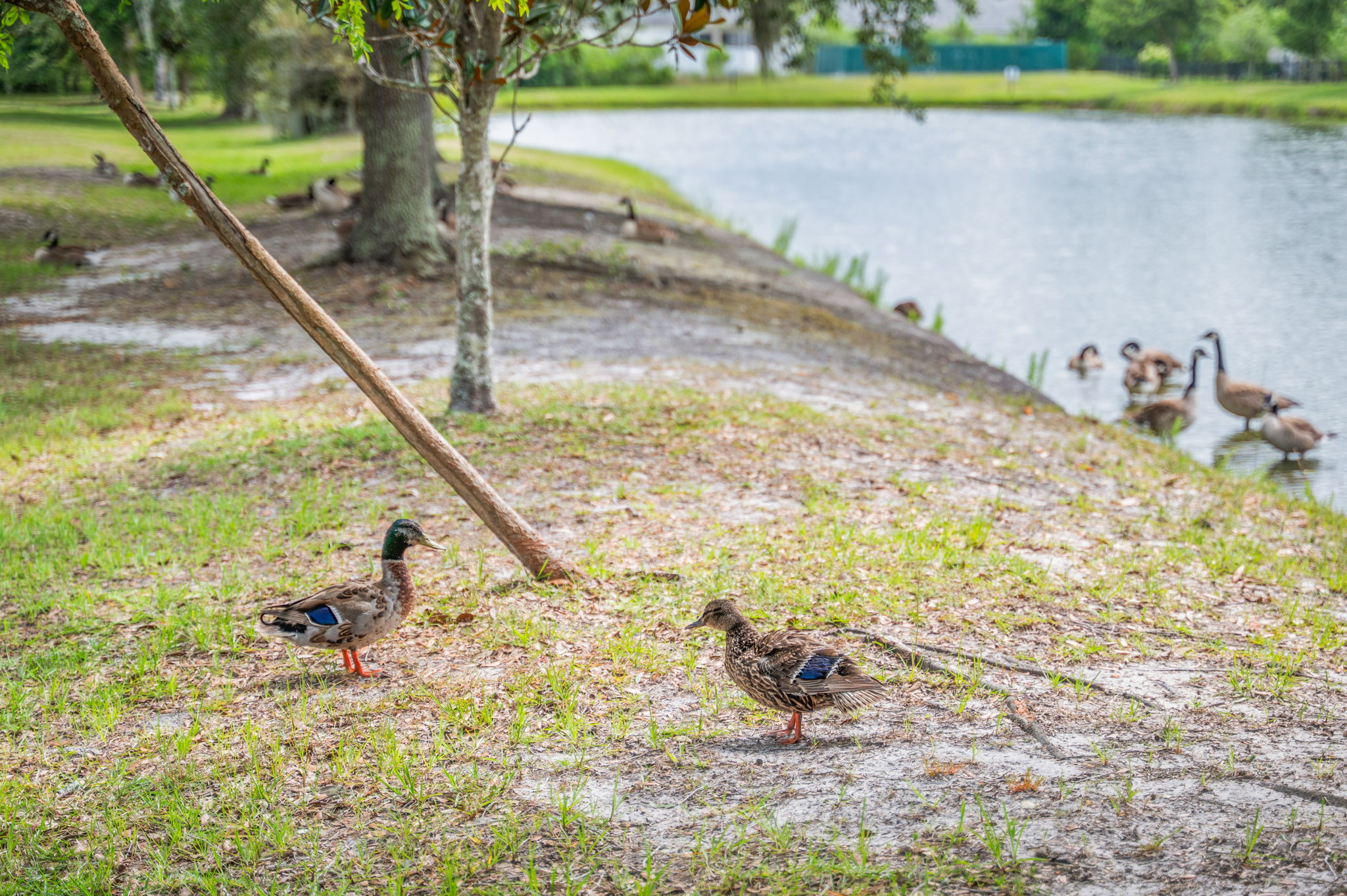  Photo 67