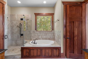 Master tub and shower