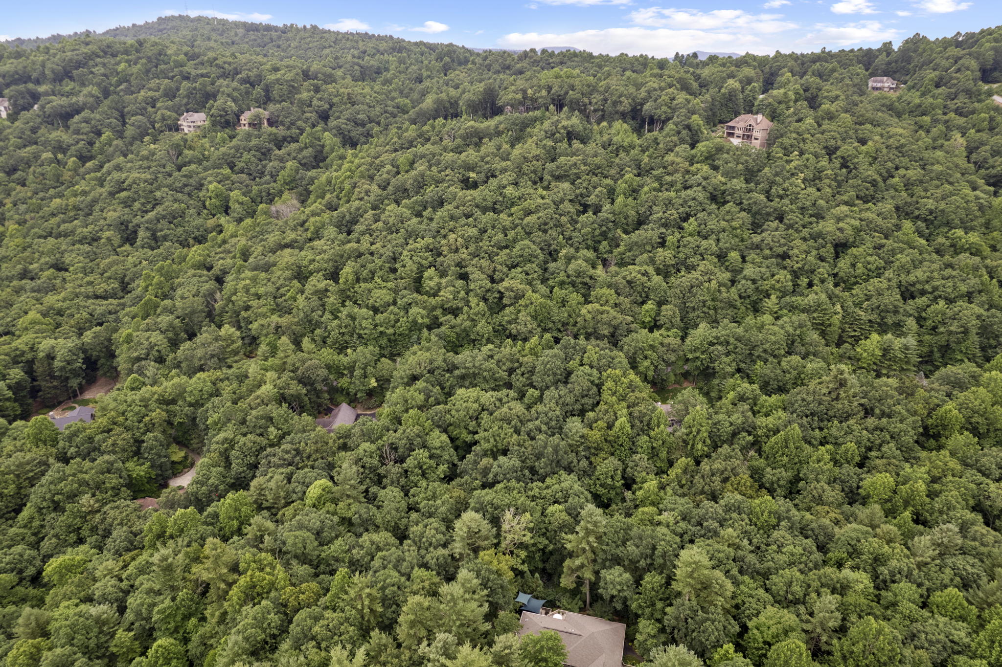 216 Kenmure Dr, Flat Rock, NC 28731 North 7th