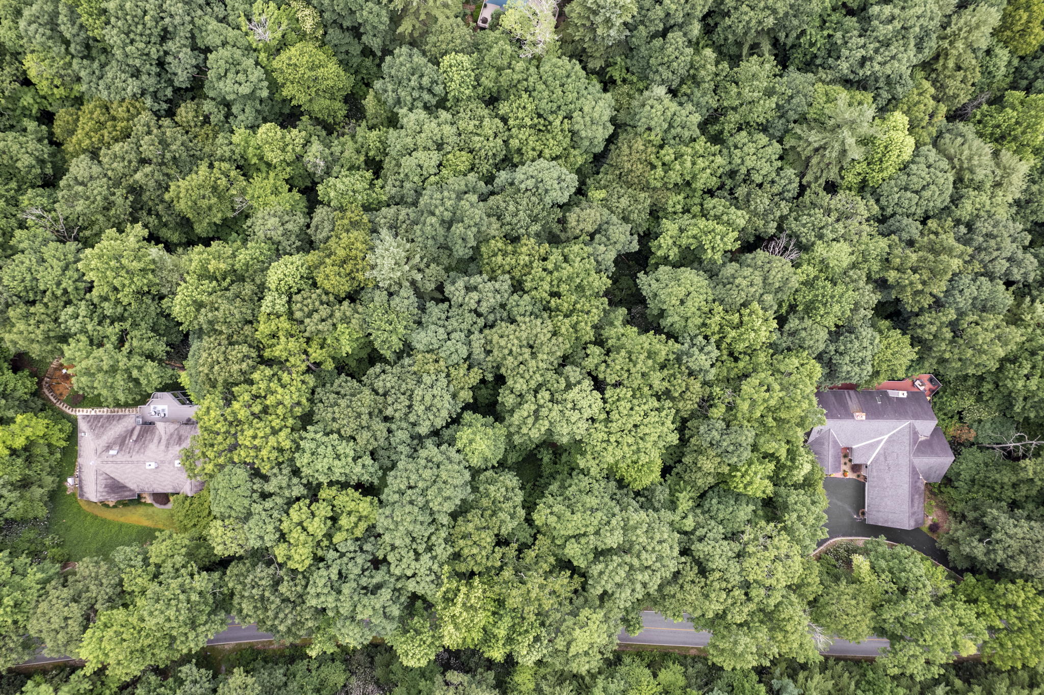 216 Kenmure Dr, Flat Rock, NC 28731 North 7th