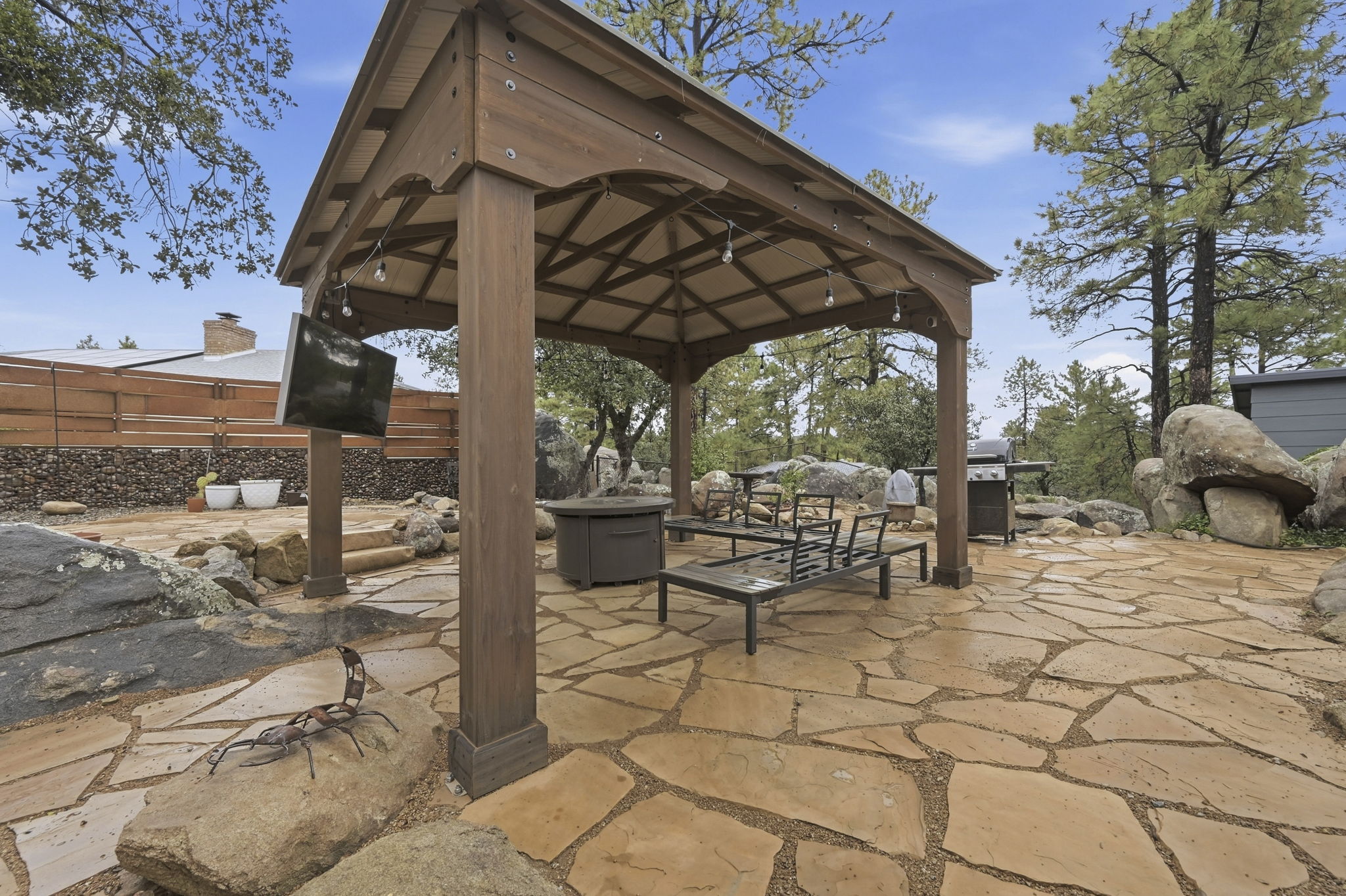 Backyard 3