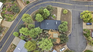 Birds Eye
