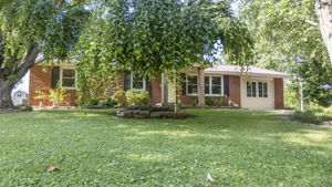  Photo 0