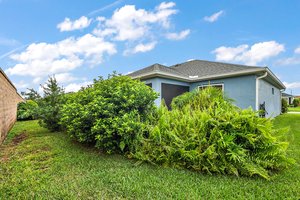 Rear Privacy Landscaping and Wall