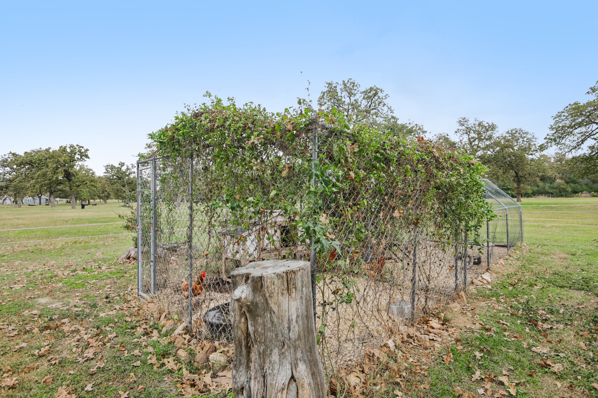 Co Rd 305-S1811-056.jpg