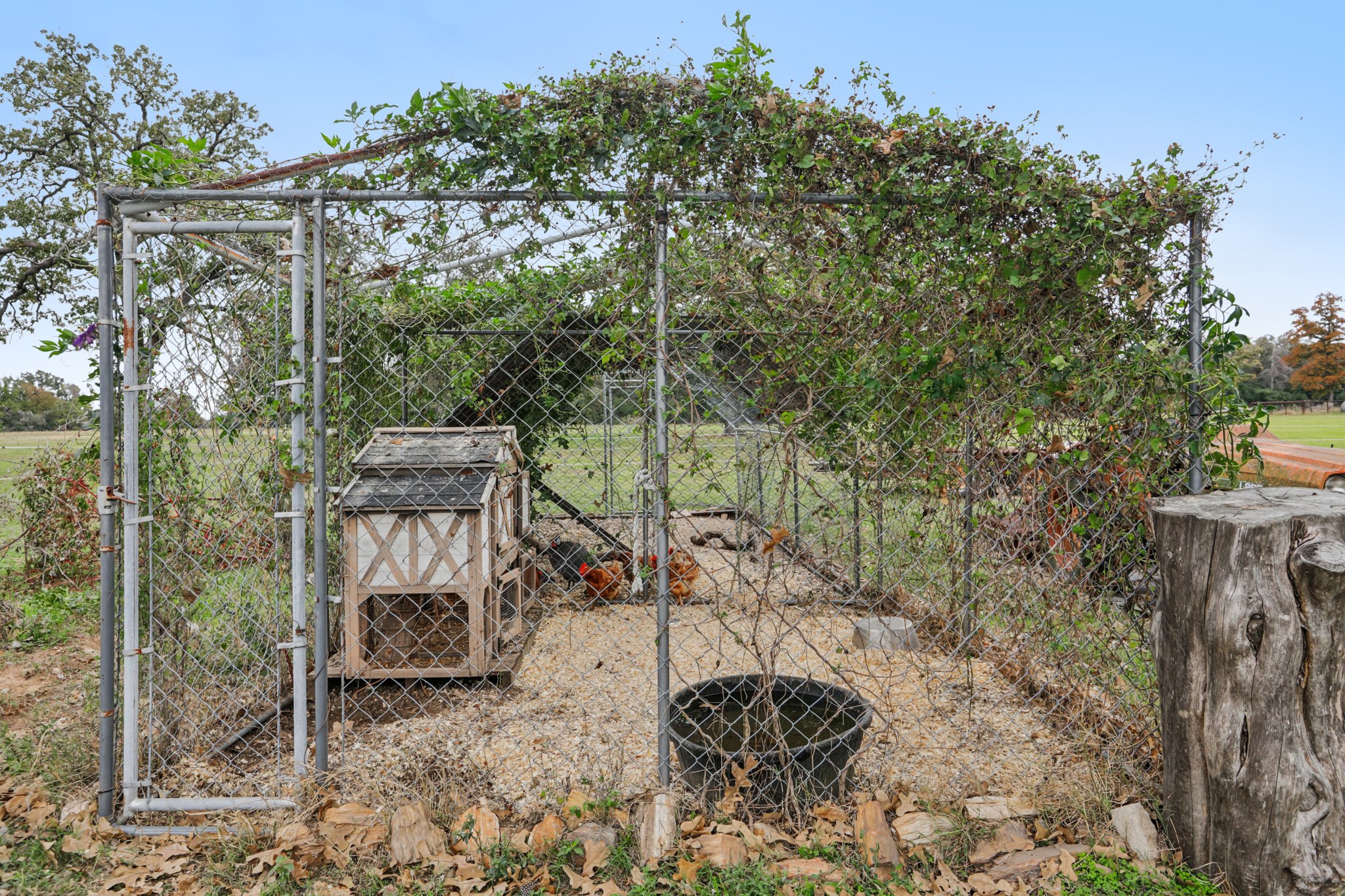 Co Rd 305-S1811-057.jpg