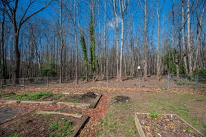  Photo 31