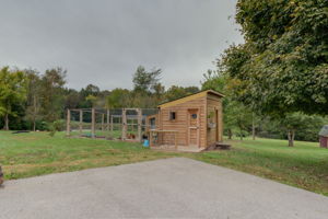 Chicken Coop
