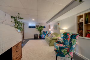 Lower Level - Main Living Area
