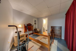 Lower Level - Bedroom