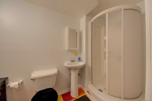 Lower Level - Bathroom