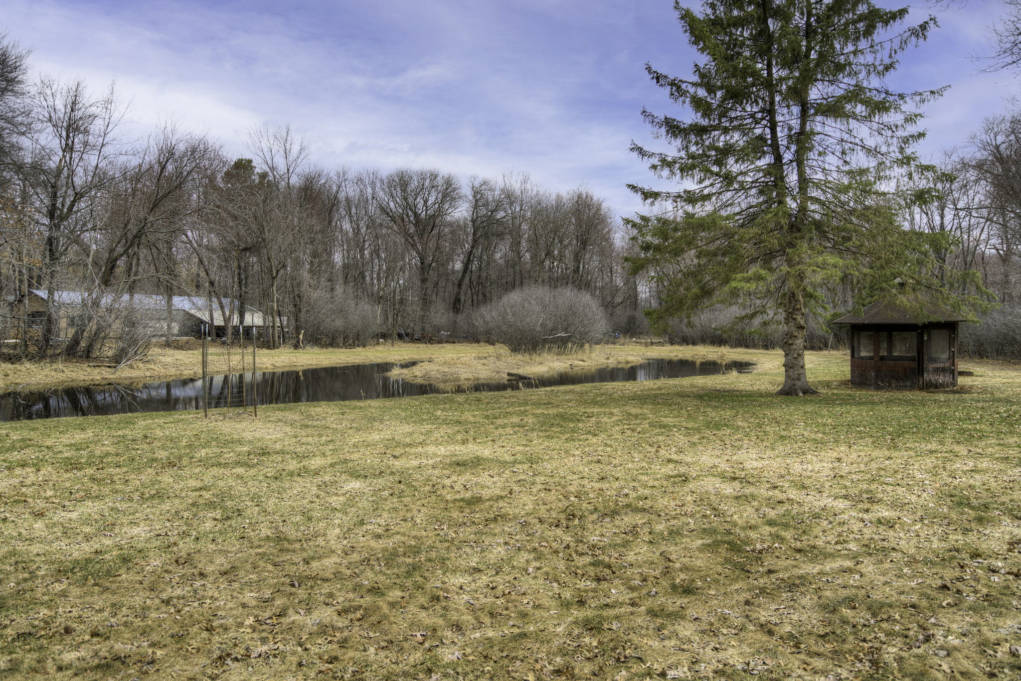 Pond