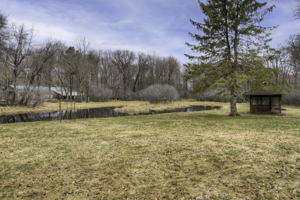 Pond