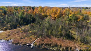  Photo 123