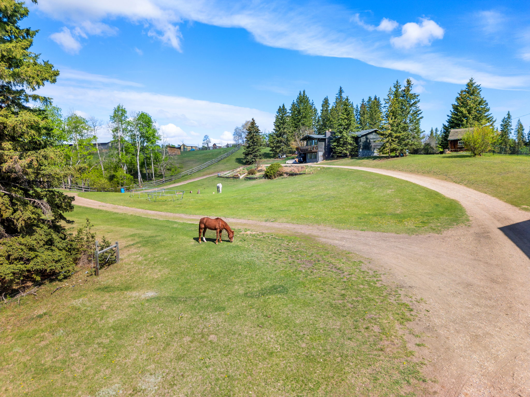 DJI_0316