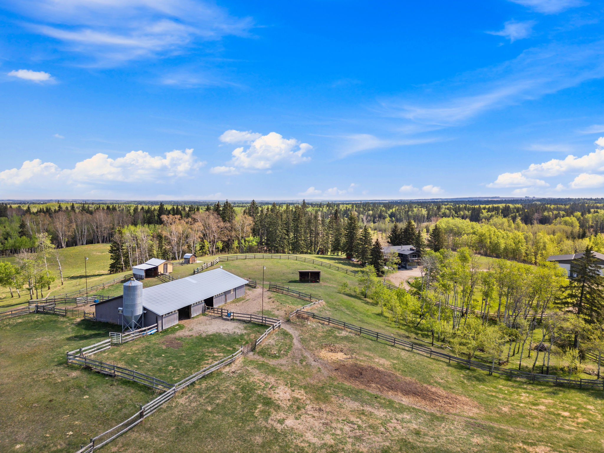 DJI_0351
