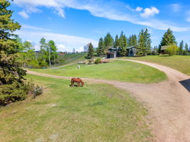 DJI_0316