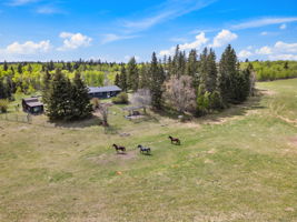 DJI_0384