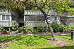 001_F8_217 Kiely Blvd apt b