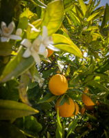  Photo 47