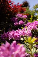  Photo 49