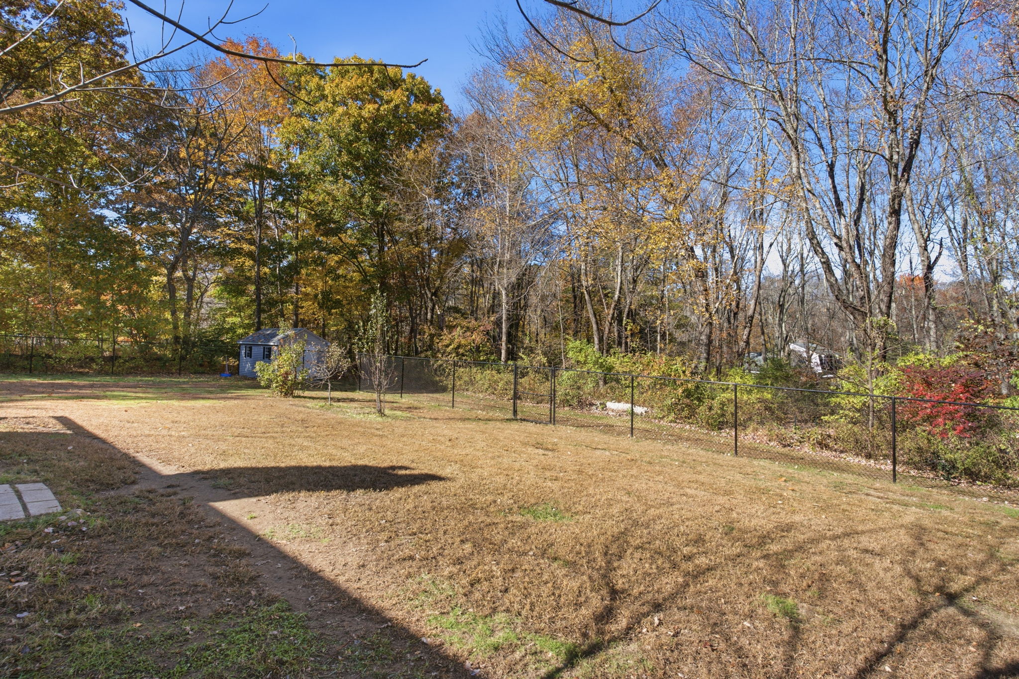  Photo 43