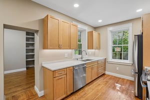 N Chestnut St-S2909-011.jpg