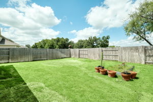 Back Yard