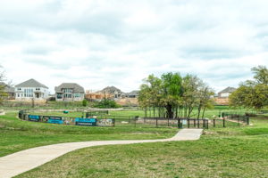 Dog Park