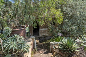 Photo 48