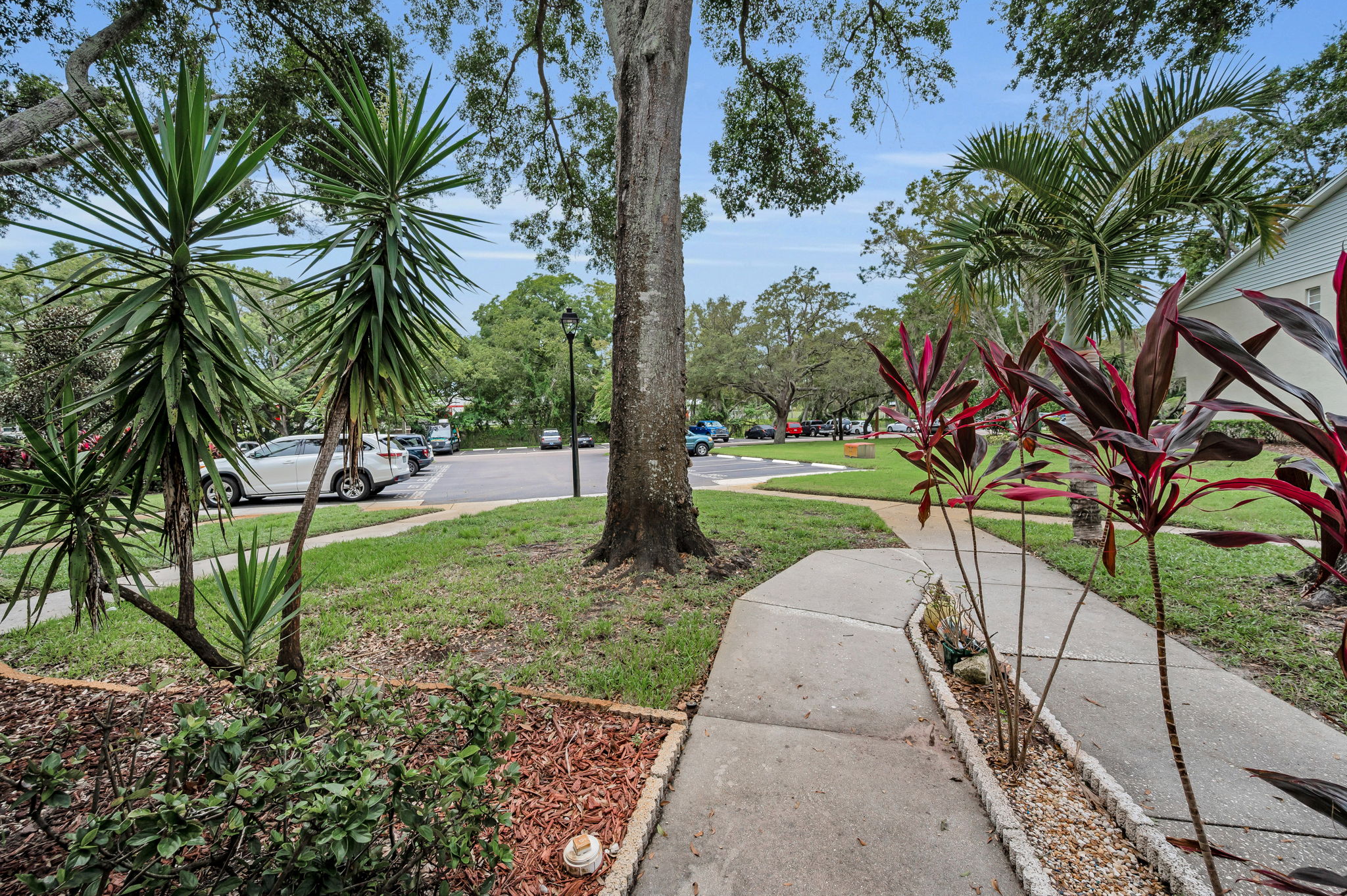 Frontyard