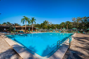 3-Pool