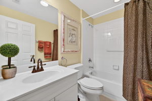 Guest Bathroom 1