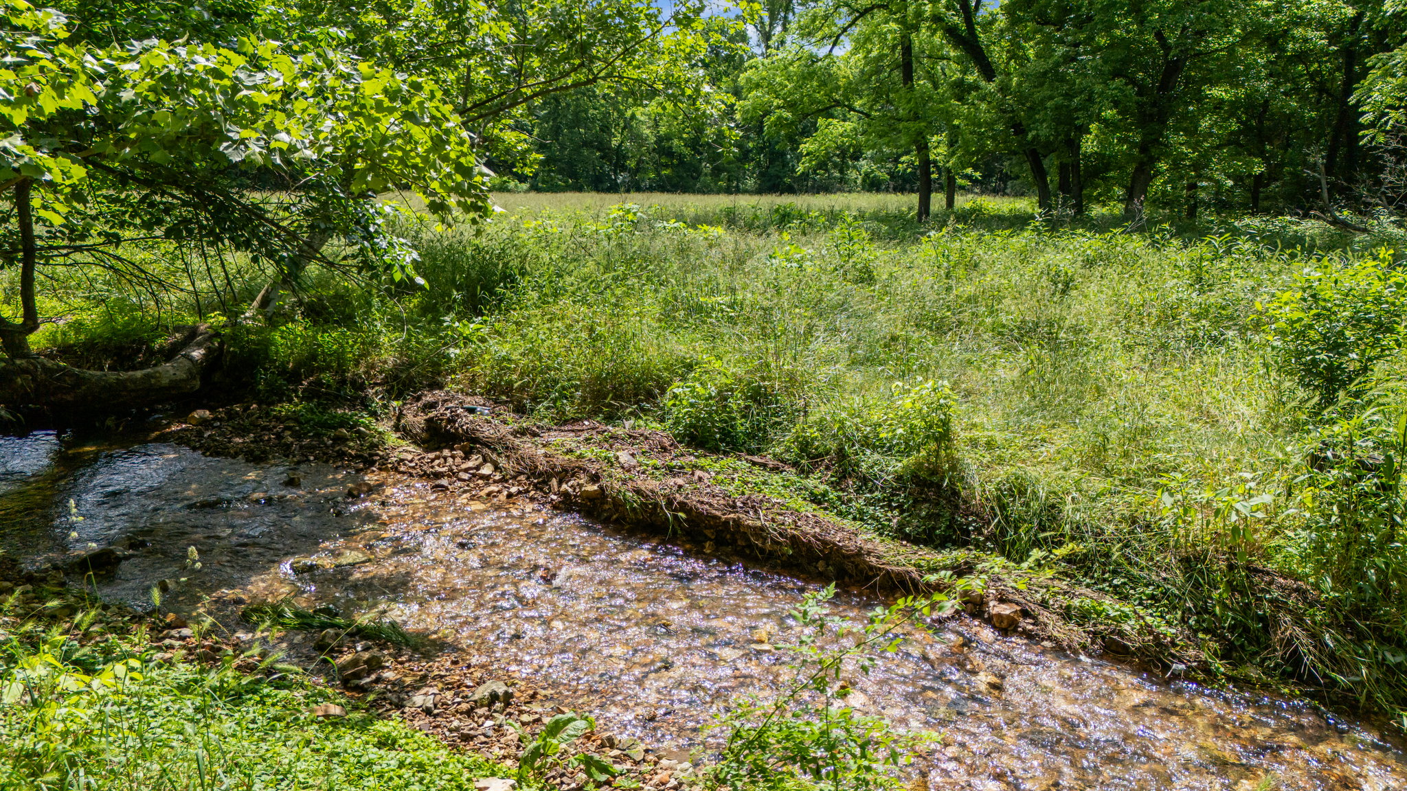 DJI_20250529112245_0037_D.jpg