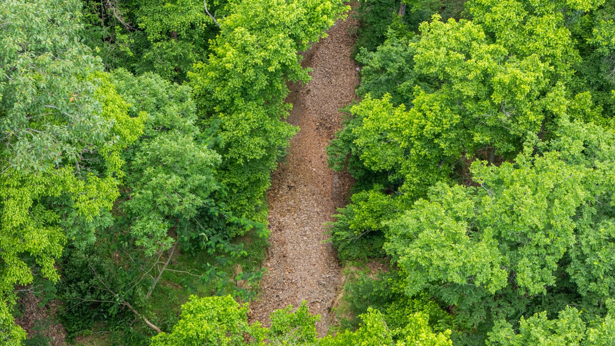 DJI_20250529112843_0058_D.jpg