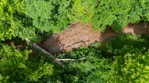 DJI_20250529111942_0019_D.jpg